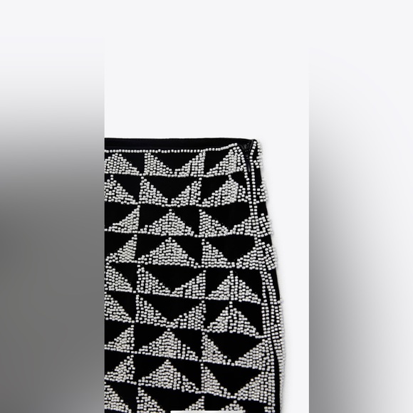 Zara Beaded Mini Skirt - Picture 4 of 8